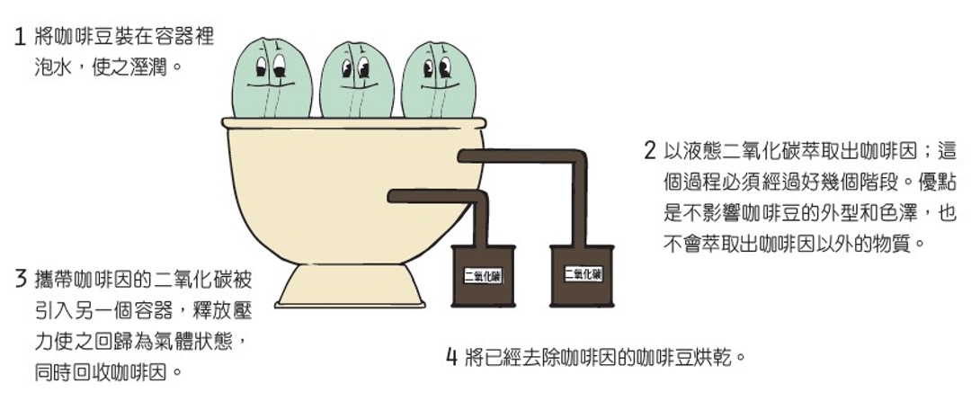 四张图教你三种方法制造低咖啡因咖啡豆