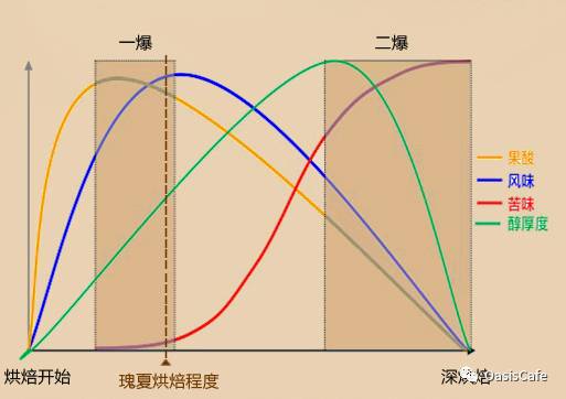 段峥：SCAA风味轮初探之咖啡中的酸(库迪咖啡)