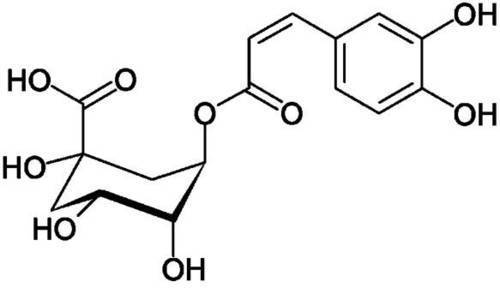 知识点：摄取“绿原酸”能有效提升“血管力” 怪不得我爱喝浅焙的咖啡